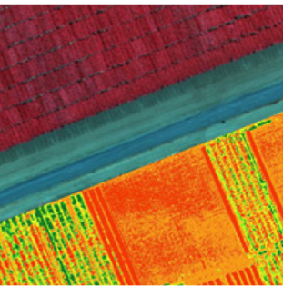 Imagen multiespectral que muestra la diversidad de información por color en cultivos.
